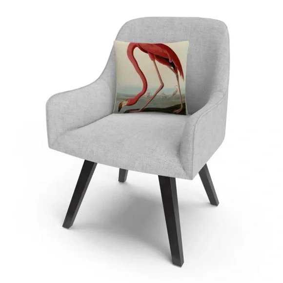 EUC Audubon Society Painting Print 16” x‎ 16” Home Decor Throw Pillows NWOT - Picture 2 of 4